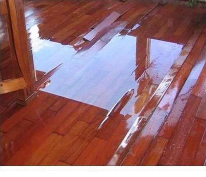 water pooling on a dark hardwood flooring with slight buckling of the boards