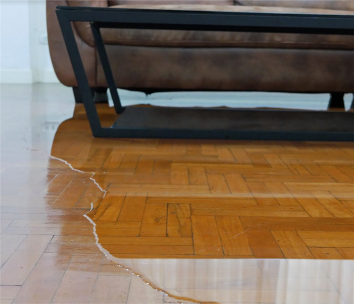 puddles of water on the wooden floor by a couch